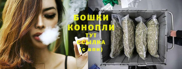 шишки Нязепетровск